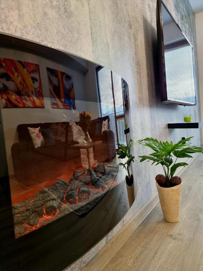 Apartament Jelonek W Karkonoszach Єленя-Ґура Екстер'єр фото