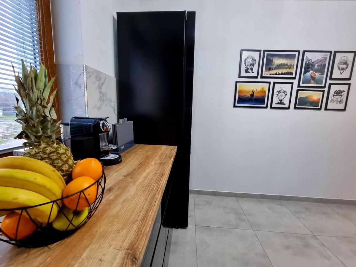 Apartament Jelonek W Karkonoszach Єленя-Ґура Екстер'єр фото