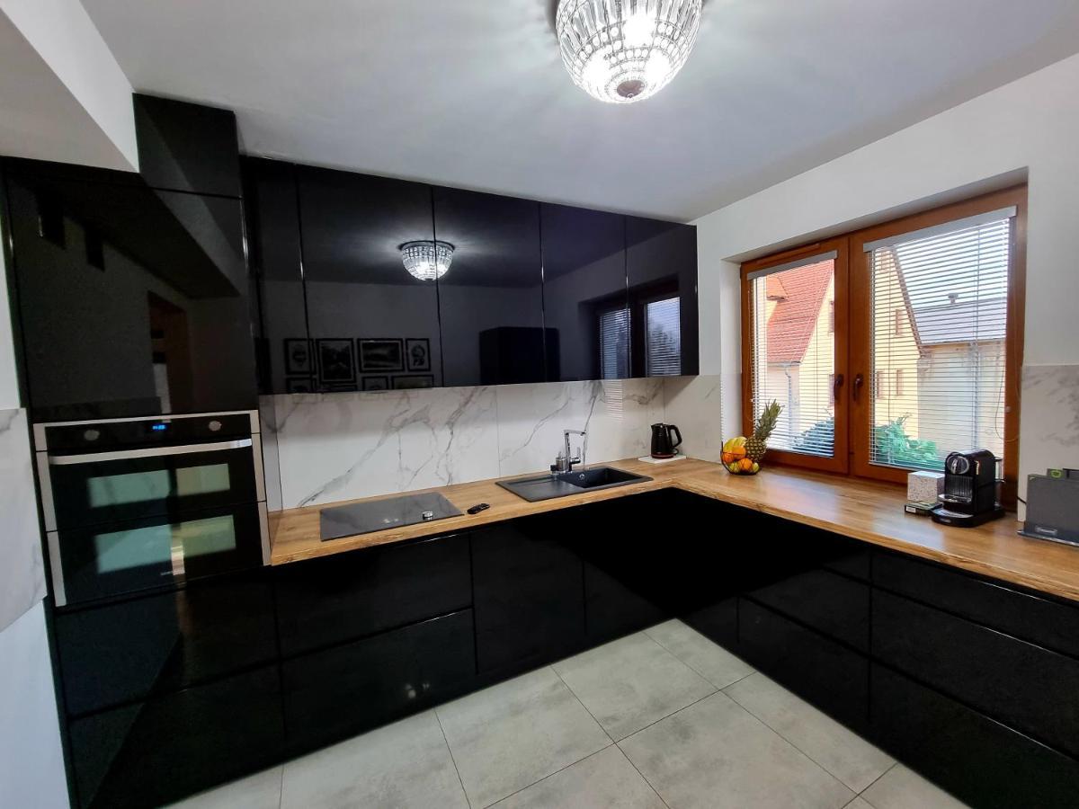 Apartament Jelonek W Karkonoszach Єленя-Ґура Екстер'єр фото