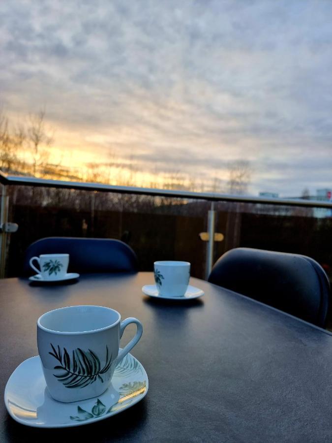 Apartament Jelonek W Karkonoszach Єленя-Ґура Екстер'єр фото