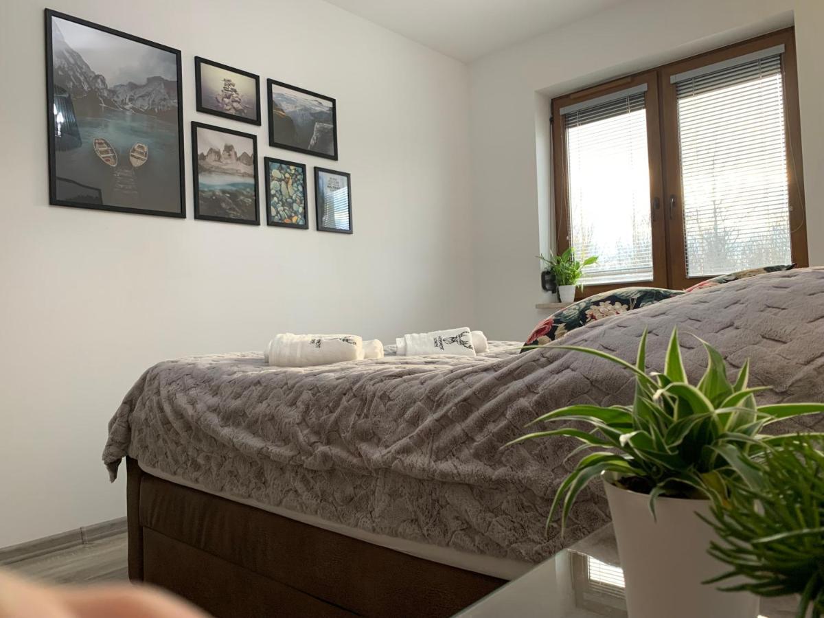 Apartament Jelonek W Karkonoszach Єленя-Ґура Екстер'єр фото